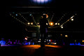 From the Wings